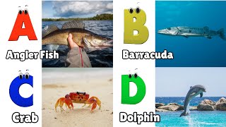 Sea Animals ABC Song  Alphabet Song for Kids  Phonics for Kids  Alphabet Letters [upl. by Bora]