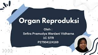 Organ Sistem Reproduksi [upl. by Andi]