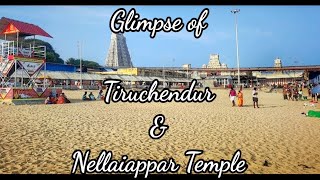 Tiruchendur Murugan and Nellaippar temple [upl. by Sommer20]