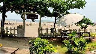 Buena Vida beach resort  Morjim Goa [upl. by Aihsenat]