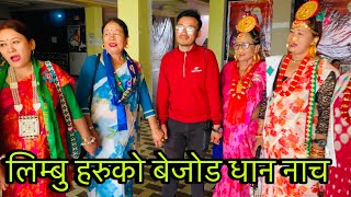 limbu palam new limbu new limbu palam अचम्म को धान नाच [upl. by Rainah]