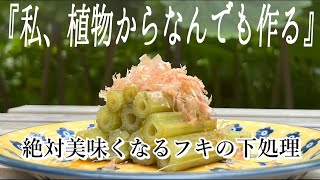 【これ絶対美味いやつ】ふきの下処理｜簡単下ごしらえ｜皮むき｜美味しいレシピも [upl. by Annayk657]