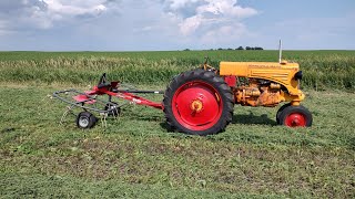 Making second crop alfalfa [upl. by Zebadiah]