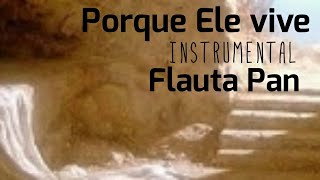 Porque Ele vive instrumental Flauta andina [upl. by Salas]