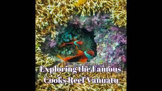 Diving Emae Island and Cooks Reef Vanuatu Podcast  47 [upl. by Maddie]