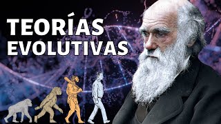 Las TEORÍAS EVOLUTIVAS explicadas Leclerc Lamarck Wallace Darwin otros🦒 [upl. by Mellar771]