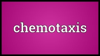 Chemotaxis Meaning [upl. by Claribel]