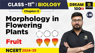 Class 11 Biology Chapter 5  Morphology in Flowering Plants  Fruit  L40  Shubham Sir [upl. by Arama]