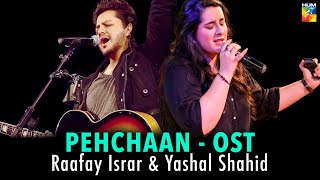 Ye Haal e Dil Hum Keh Bhi Na Paye  PEHCHAAN Lyrical OST  Raafay Israr and Yashal Shahid  HUM TV [upl. by Goles]