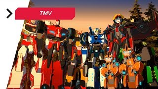 Transformers Robots in Disguise  Bee Team  Feel Invincible TMV [upl. by Robb389]