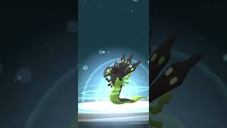 FINALLY Evolved ZYGARDE After 3 months of Routes And Best Buddy 117 😁 pokemongo Zygarde [upl. by Akiria]