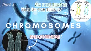 Chromosomes PART 2 genetics biology biostudies [upl. by Eenaej]