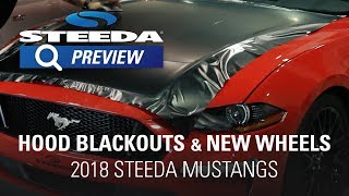 Steeda 2018 Mustang Hood Black Out amp New Wheels  Build [upl. by Nosneh]