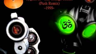 Cygnus X  The Orange Theme Push Remix ·1999· [upl. by Mirilla]