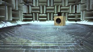 Ron Miles and the Anechoic Chamber [upl. by Erhard]