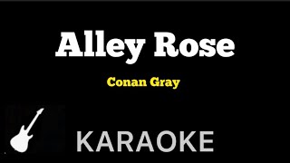 Conan Gray  Alley Rose  Karaoke Guitar Instrumental [upl. by Nortna696]