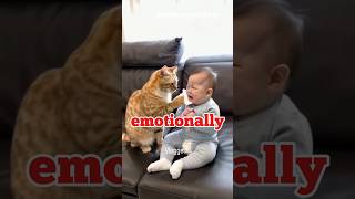 3 Funniest Cat Moments Caught on Camera part 1 trynottolaugh shorts funny [upl. by Ahsauqal]