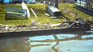 Malletts Bay Flood level 2011wmv [upl. by Htebzil982]