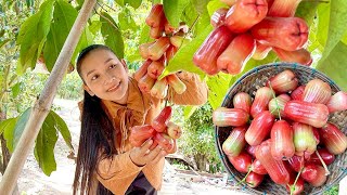 Have you ever eat rose apple with vegetable How to cook food by use rose apple with vegetable [upl. by Oira]