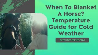 When To Blanket A Horse Temperature Guide for Cold Weather [upl. by Chapel]