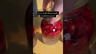 Homemade cranberry juice homemade diy cranberryjuice [upl. by Acimehs]