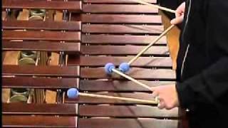 Marimba concerto quotCorridorsquot by Slavko Shuklar Performed by Nebojsa Zivkovic [upl. by Annazus325]