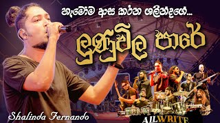 ශලින්දගේ හොදම එක ලුණු විල පාරේ All Write Shalinda Fernando Lunu Vila Pare [upl. by Yoho568]