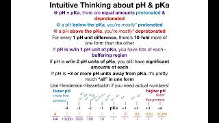 Quick term talk pH pKa pI isoelectric point pKR and acidic vs basic amino acids [upl. by Yacano]