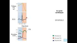 4  Physiologie cardio vasculaire partie 4 [upl. by Flavio]