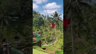 Expectations vs reality of Bali swing😂😂 baliswing bali [upl. by Neetsyrk861]