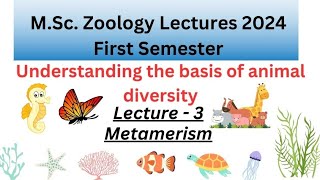 Diversity of Animal Kingdom  Lecture  3 Msc Zoology Notes Metamerism [upl. by Aneris419]