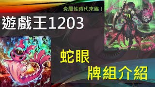 遊戲王炎王響叮噹一卡超強化！恐怖小蛇瞬間撐起炎屬性元年！黑魔女的時代君臨賽場！1203蛇眼牌組介紹 [upl. by Anuait659]