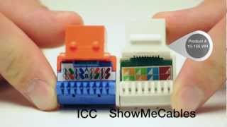 Cat5e Single Row Jack Overview [upl. by Anaibaf]