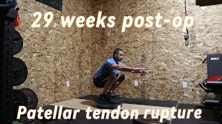 29 weeks post op patellar tendon rupture [upl. by Lednyc]