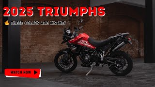 Tiger 660 vs 850  Which 2025 Color is RIGHT for YOU [upl. by Billy]