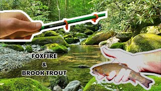 Tenkara Fishing for Southern Appalachian Brook Trout  Dragontail FoxFIRE Review [upl. by Mehalek]