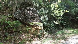 RABUN GAP GA 30568  Video 1 Walkaround [upl. by Neuberger446]