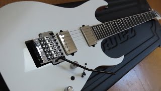 Unboxing IBANEZ Prestige RG5320C PW [upl. by Annayram]