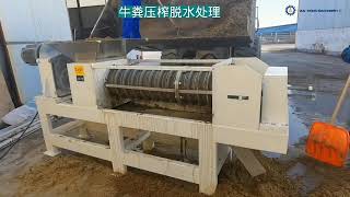 Cow Dung Dewatering  Cow Dung Drying Machine  Manure Separator [upl. by Ynehpets218]