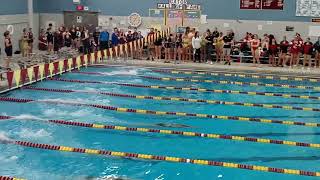 50 freestyle true team sections 101024 [upl. by Panthia]