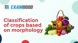 Classification of crops based on morphology [upl. by Elvie252]