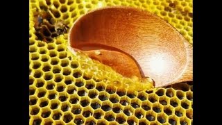 Honeycomb Cutting and Honey Flowing  ULTRA SATISFYING [upl. by Inessa]