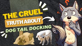 The Shocking Truth About Dog Tail Docking [upl. by Ocram]