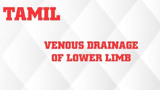 VENOUS DRAINAGE OF LOWER LIMB IN TAMIL [upl. by Hentrich271]