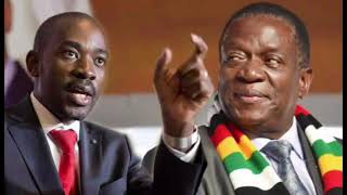 Blue movement chamisa BMC to clash ED zanu pf dending shock waves [upl. by Roger]