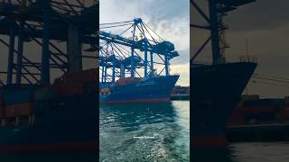 Vallarpadam container terminal  Cochin Shipyard  International Container Transhipment Terminal [upl. by Namrak]