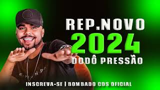 DODÔ PRESSÃO 2024 REPERTÓRIO NOVO  O COMENTÁRIO É QUE EU SUMIR  DODO PRESSÃO 2024  OUTUBRO 2024 [upl. by Norac]