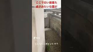 【サブチャンネル切り抜き】北九州の心霊スポット畑貯水池。某有名心霊YouTuberが検証してた所 vlog travel 散歩 nature 心霊スポット [upl. by Alleunamme]