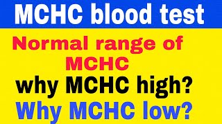 MCHC Blood Test The Secret to Understanding Your Blood Work [upl. by Epuladaug]