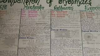 Bryophytes BSc Biology 1st year comparision [upl. by Eseuqcaj]